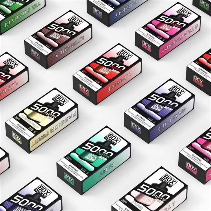 Hebat Box 5000 Puffs Tek Kullanımlık Vape