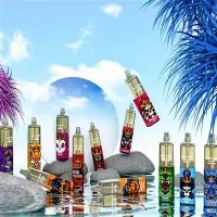 SIDIA HAVA KAPISI 12000