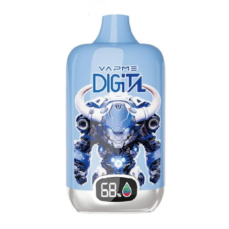 VAPME Dijital 12000