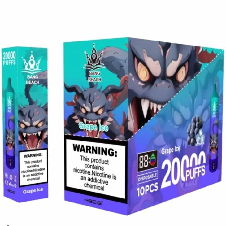 BANG BEACH 20000 Puff Tek Kullanımlık Vape