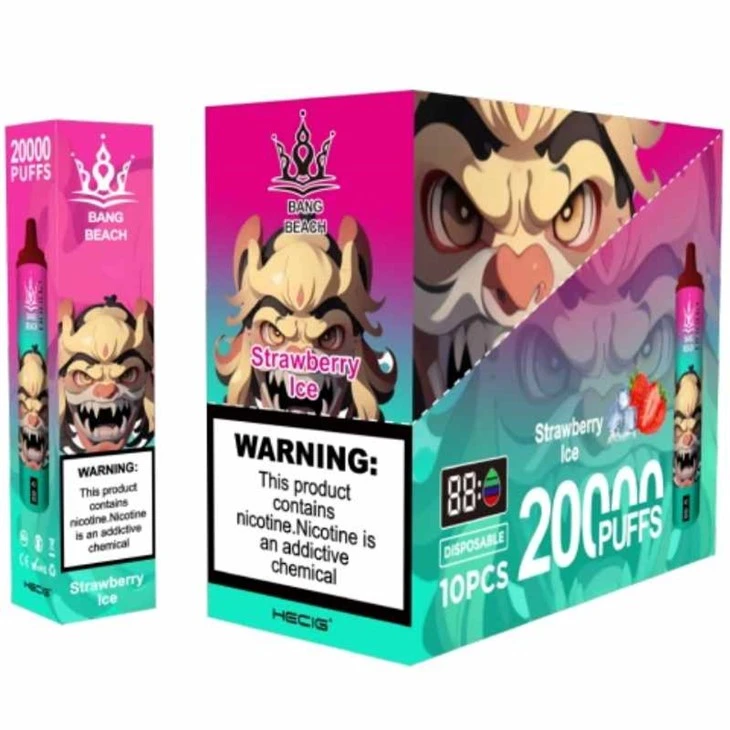BANG BEACH 20000 Puf