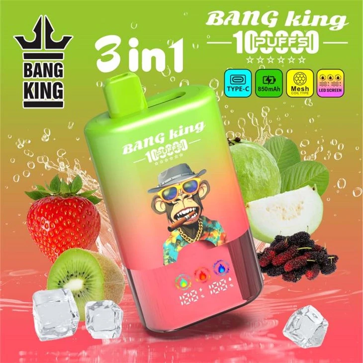 BANG KRAL 100K 3