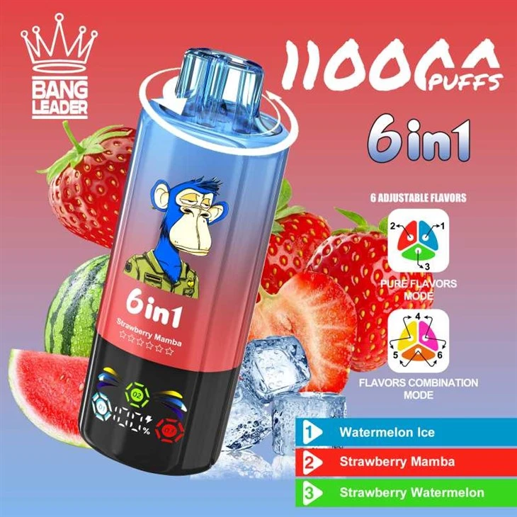 Bang Lideri 110000