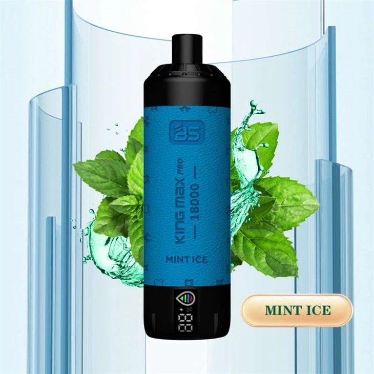 BS KING MAX PRO 18000 PUFFS Tek Kullanımlık Vape