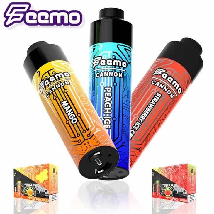 Feemo Topu 10000