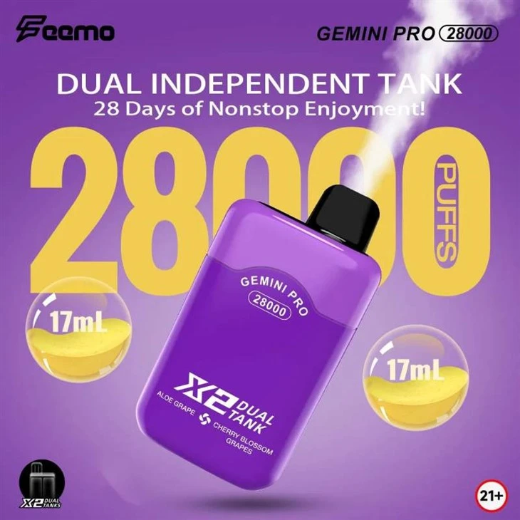 Feemo Gemini Pro 28000 Pufs
