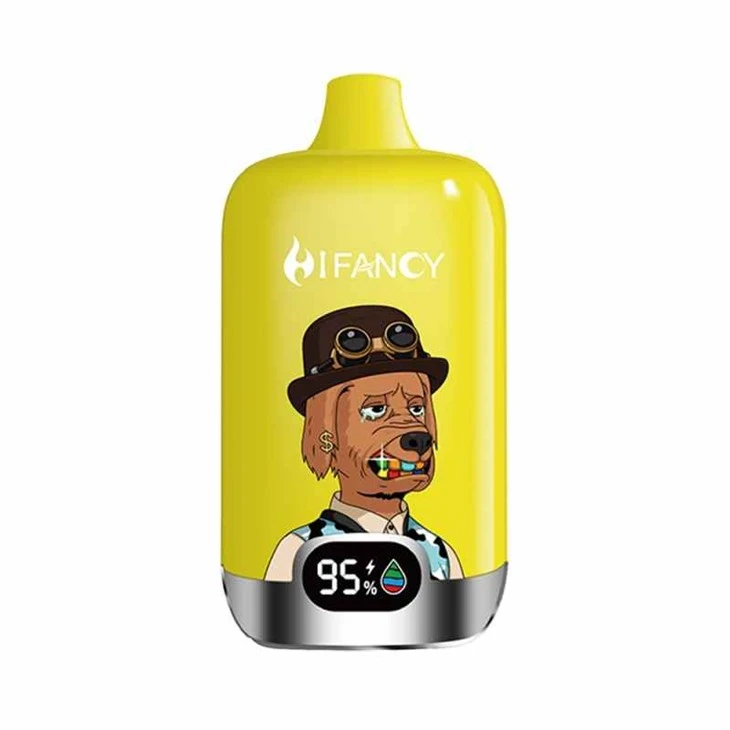 HIFANCY DİJİTAL KUTU 16000