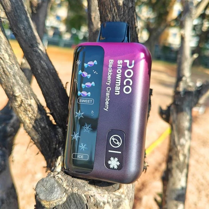POCO KARDAN ADAM 70000 PUF