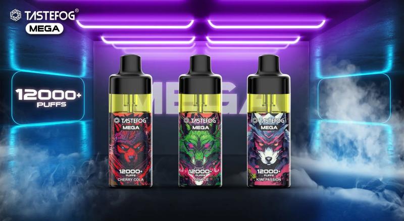 TASTEFOG MEGA 12000 120