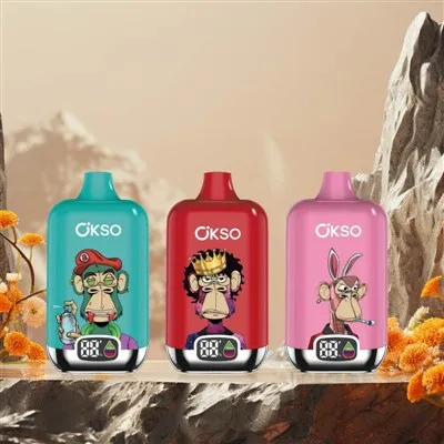OKSO Dijital Kutu 12K