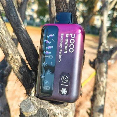 POCO KARDAN ADAM 70000 PUF