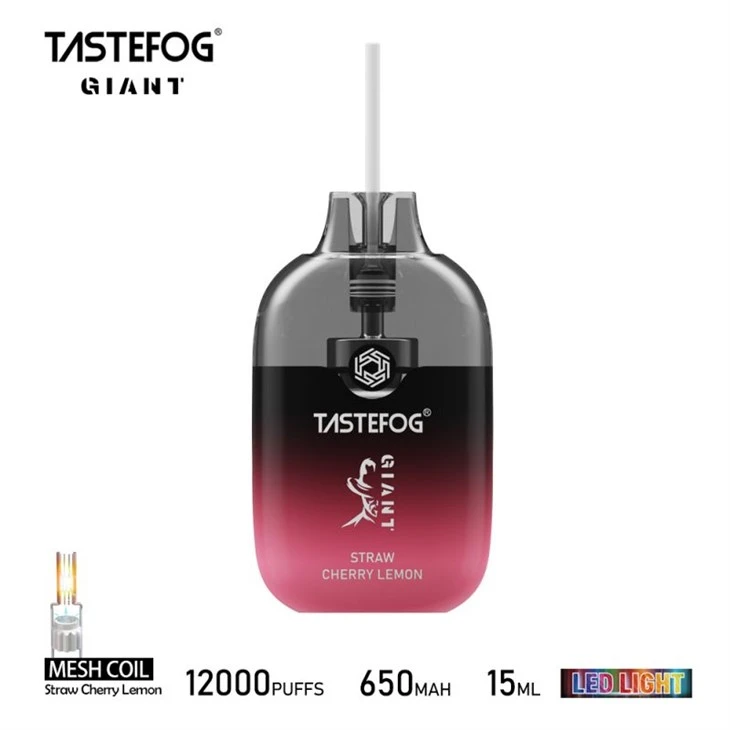 TASTEFOG DEV 12000