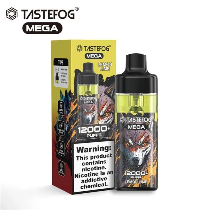 TASTEFOG MEGA 12000 1